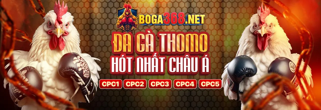Hải Tặc Bắn Cá